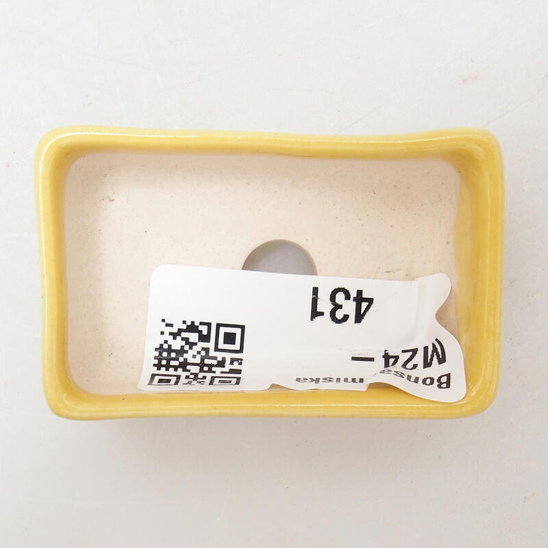 Ciotola per mini bonsai 5 x 3 x 2 cm, giallo