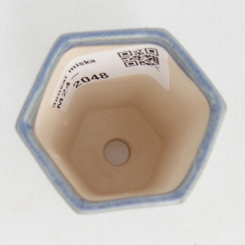 Mini bonsai 5 x 4,5 x 6,5 cm, colore blu