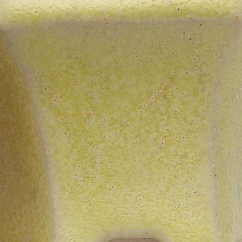 Mini bonsai 5 x 5 x 2,5 cm, giallo