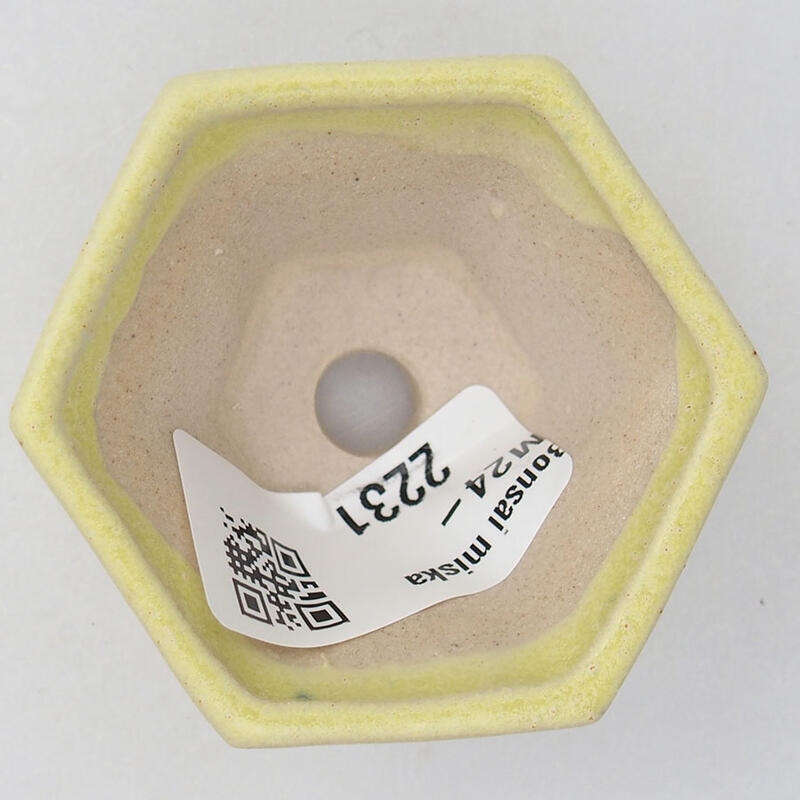 Mini bonsai 5 x 5 x 2,5 cm, giallo