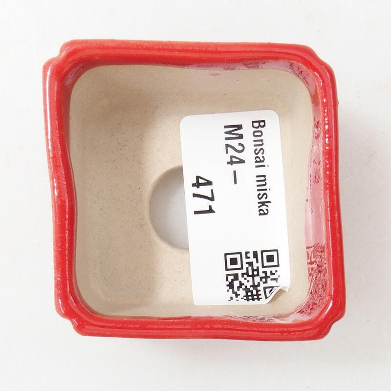 Mini bonsai 5 x 5 x 3,5 cm, colore rosso