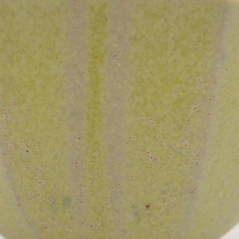 Mini bonsai 5 x 5 x 3,5 cm, verde