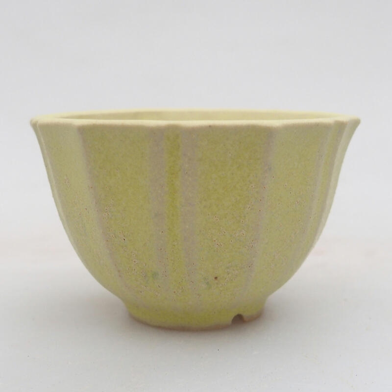 Mini bonsai 5 x 5 x 3,5 cm, verde