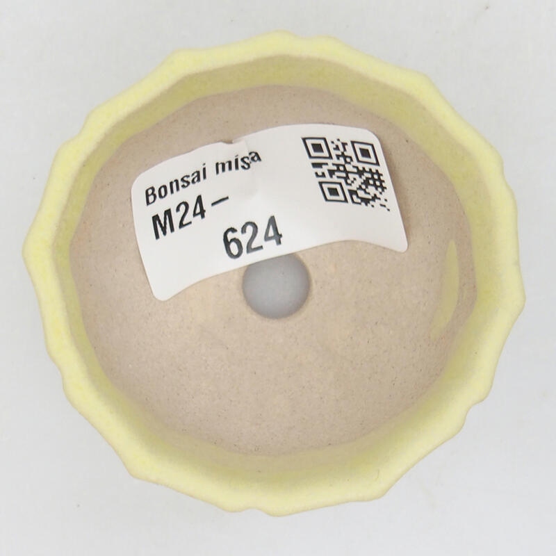 Mini bonsai 5 x 5 x 3,5 cm, verde