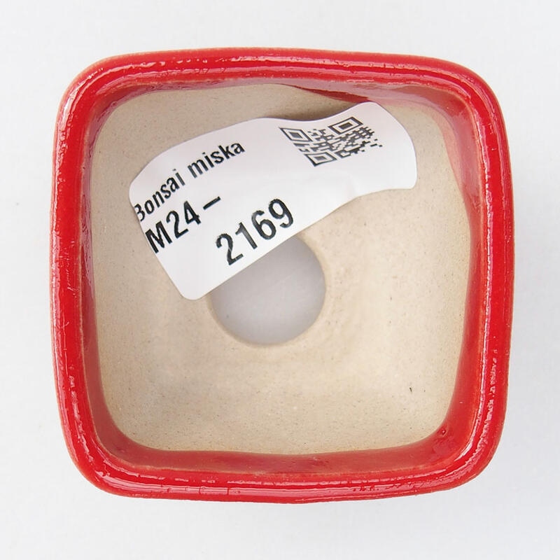 Mini bonsai 5 x 5 x 3 cm, colore rosso