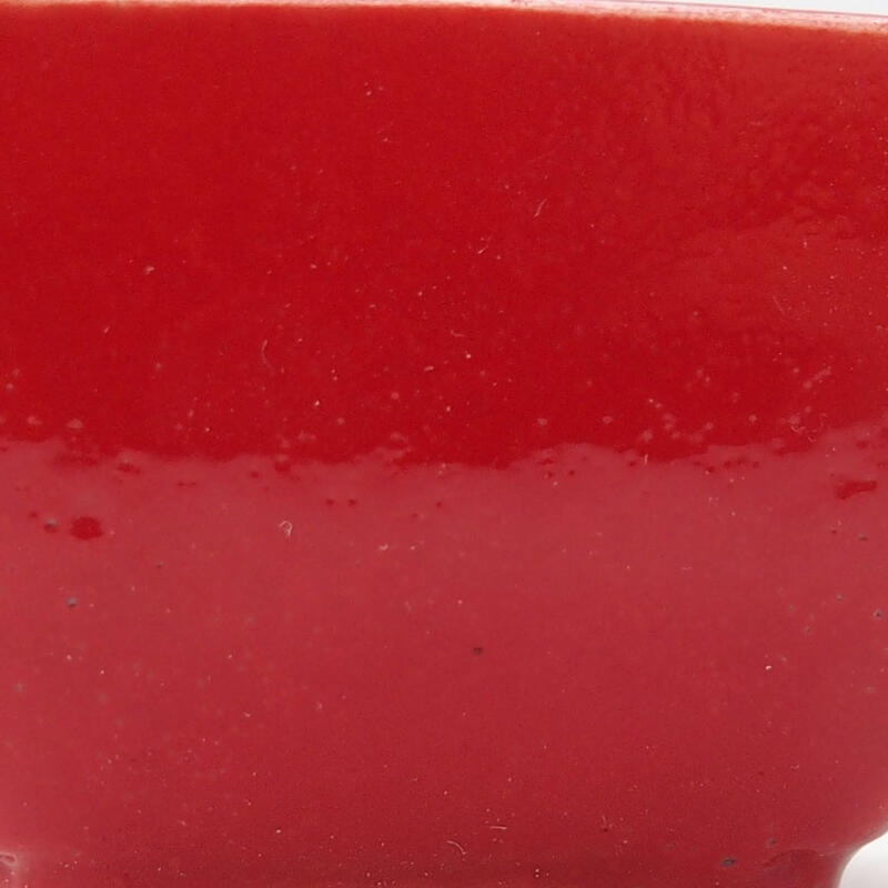 Mini bonsai 5 x 5 x 3 cm, colore rosso