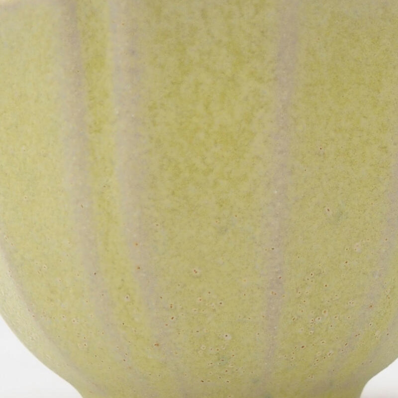 Mini bonsai 5 x 5 x 3 cm, giallo