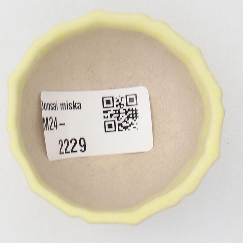 Mini bonsai 5 x 5 x 3 cm, giallo