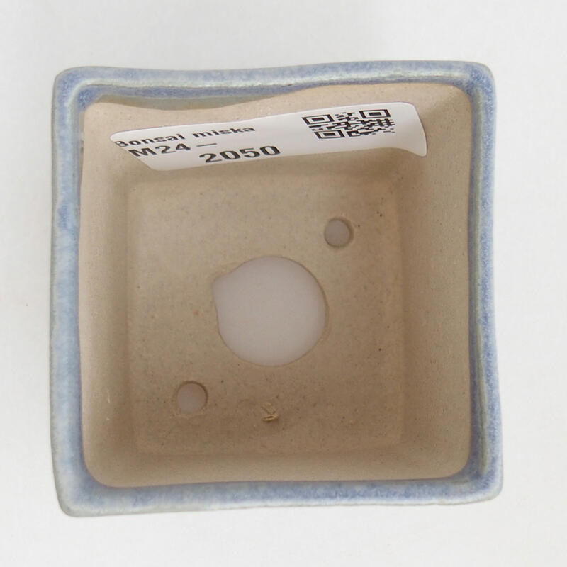 Mini bonsai 5 x 5 x 5 cm, colore blu