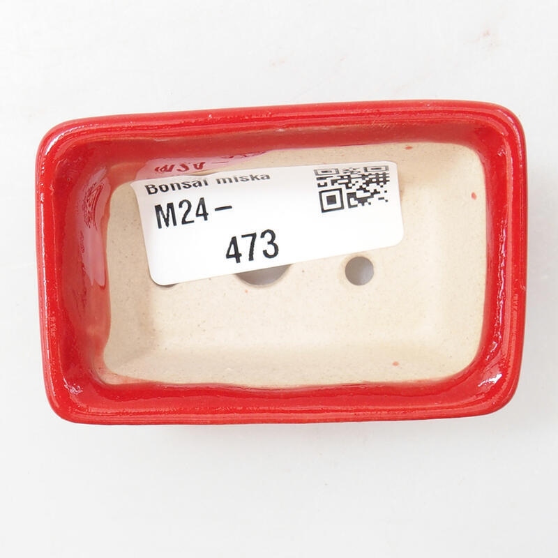 Mini bonsai 6,5 x 4 x 2,5 cm, colore rosso