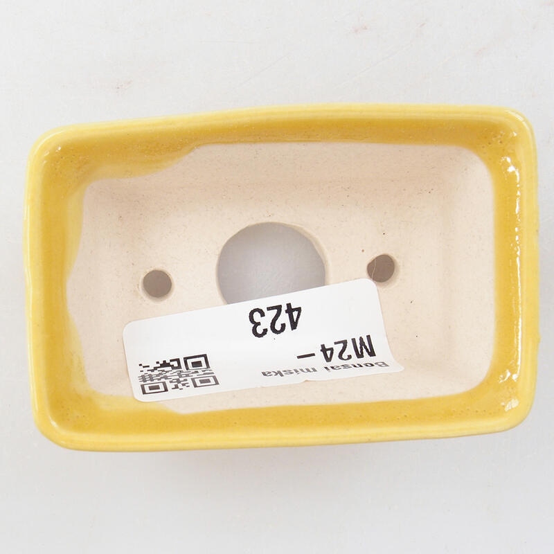 Mini bonsai 6,5 x 4 x 2,5 cm, giallo