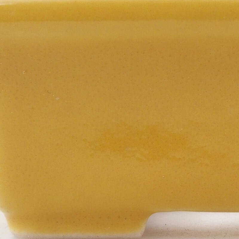 Mini bonsai 6,5 x 4 x 2,5 cm, giallo