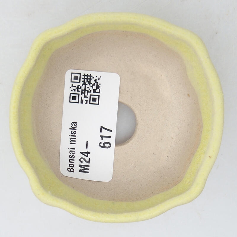Ciotola per bonsai mini 6,5 x 6,5 x 2,5 cm, verde