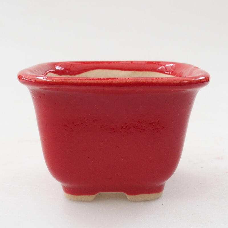 Mini bonsai 6,5 x 6,5 x 4,5 cm, colore rosso