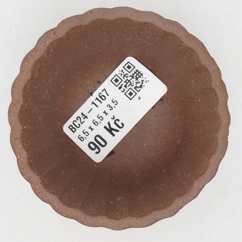 Mini bonsai 6,5 x 6,5 x 4 cm, marrone