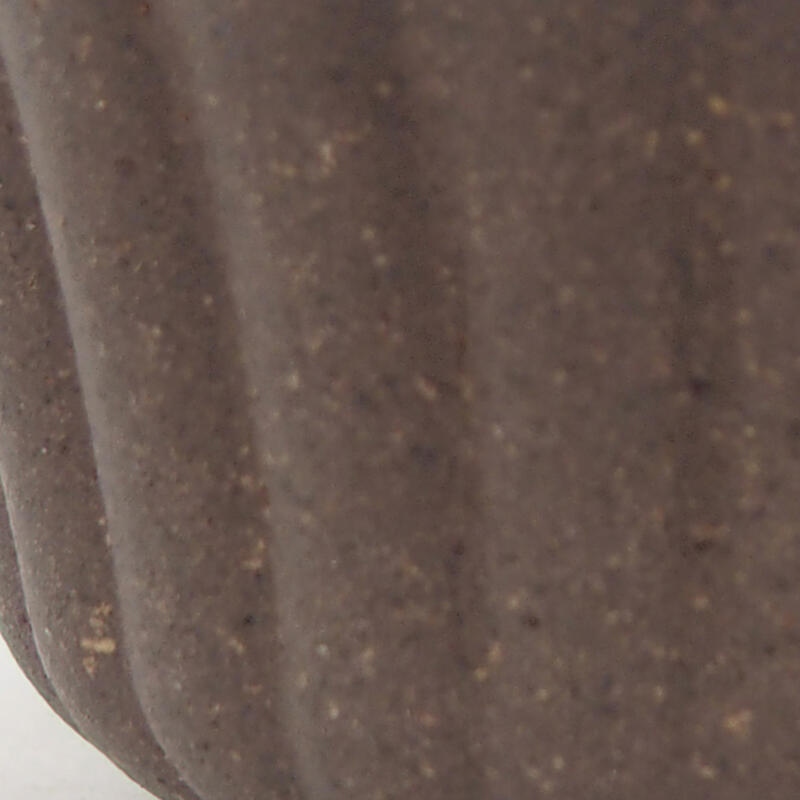 Mini bonsai 6,5 x 6,5 x 4 cm, colore marrone ocra