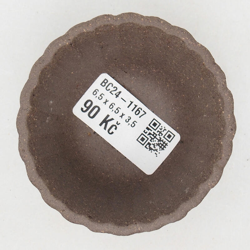 Mini bonsai 6,5 x 6,5 x 4 cm, colore marrone ocra