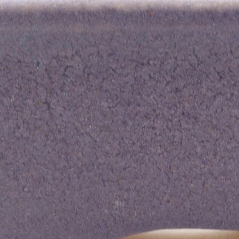 Mini bonsai 6 x 4,5 x 2,5 cm, colore viola