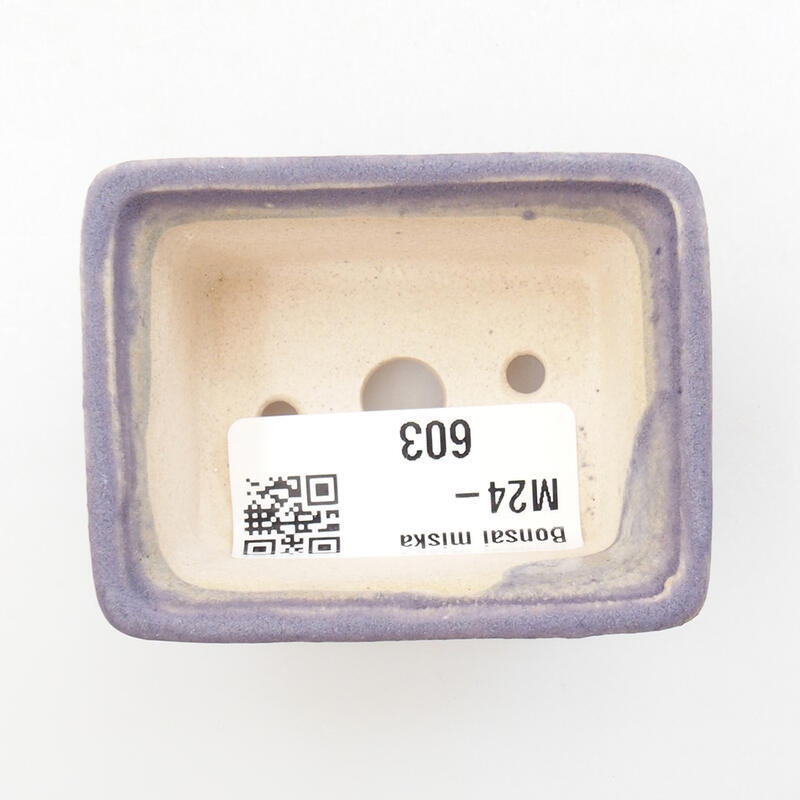 Mini bonsai 6 x 4,5 x 2,5 cm, colore viola