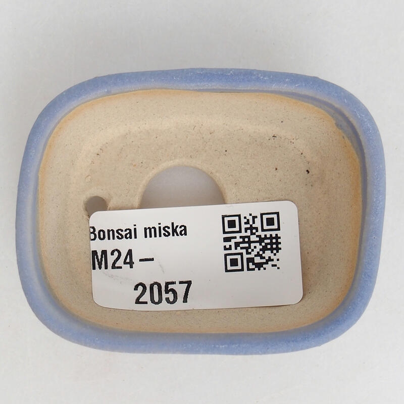 Mini bonsai 6 x 4,5 x 2,5 cm, colore blu