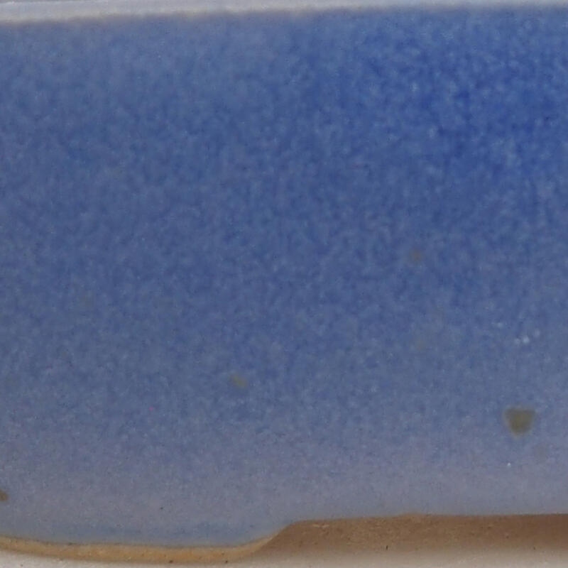 Mini bonsai 6 x 4,5 x 2,5 cm, colore blu