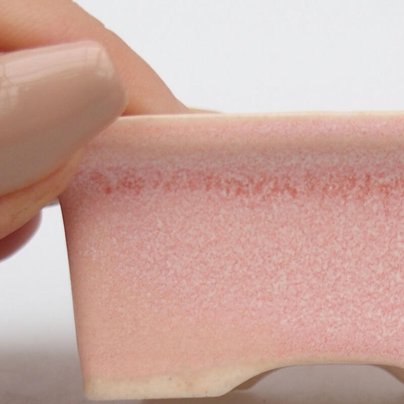 Mini bonsai 6 x 4,5 x 2,5 cm, rosa