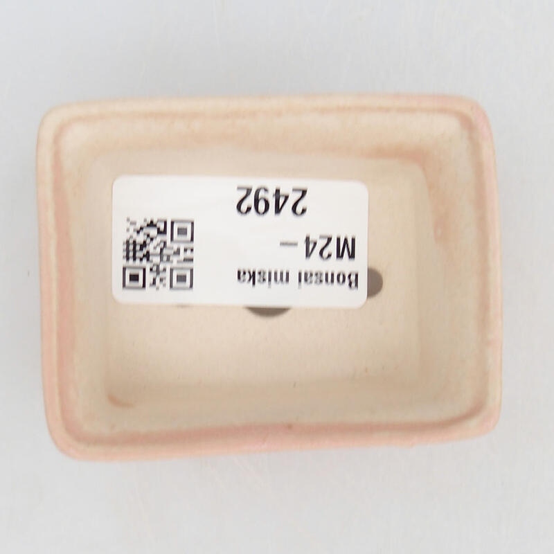 Mini bonsai 6 x 4,5 x 2,5 cm, rosa