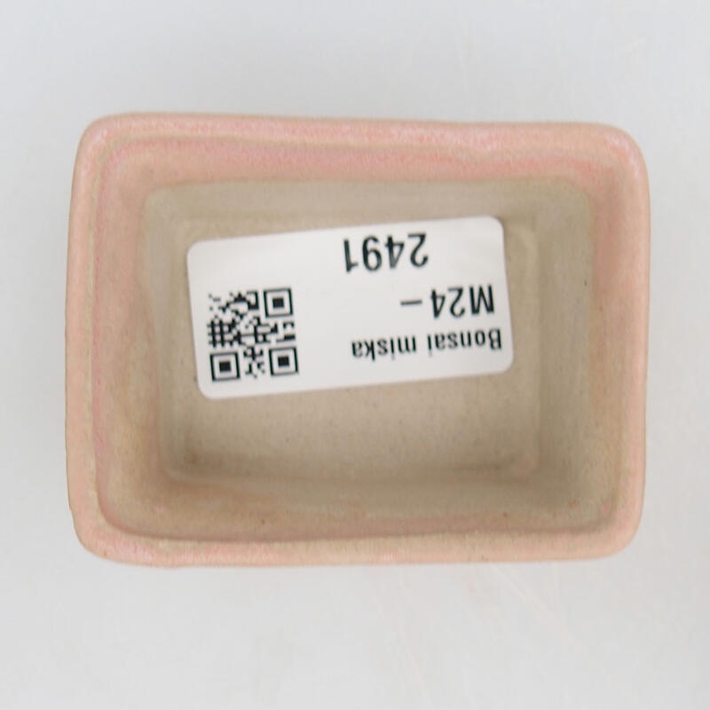 Mini bonsai 6 x 4,5 x 2,5 cm, rosa