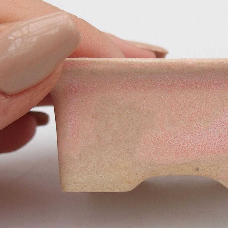 Mini bonsai 6 x 4,5 x 2,5 cm, rosa