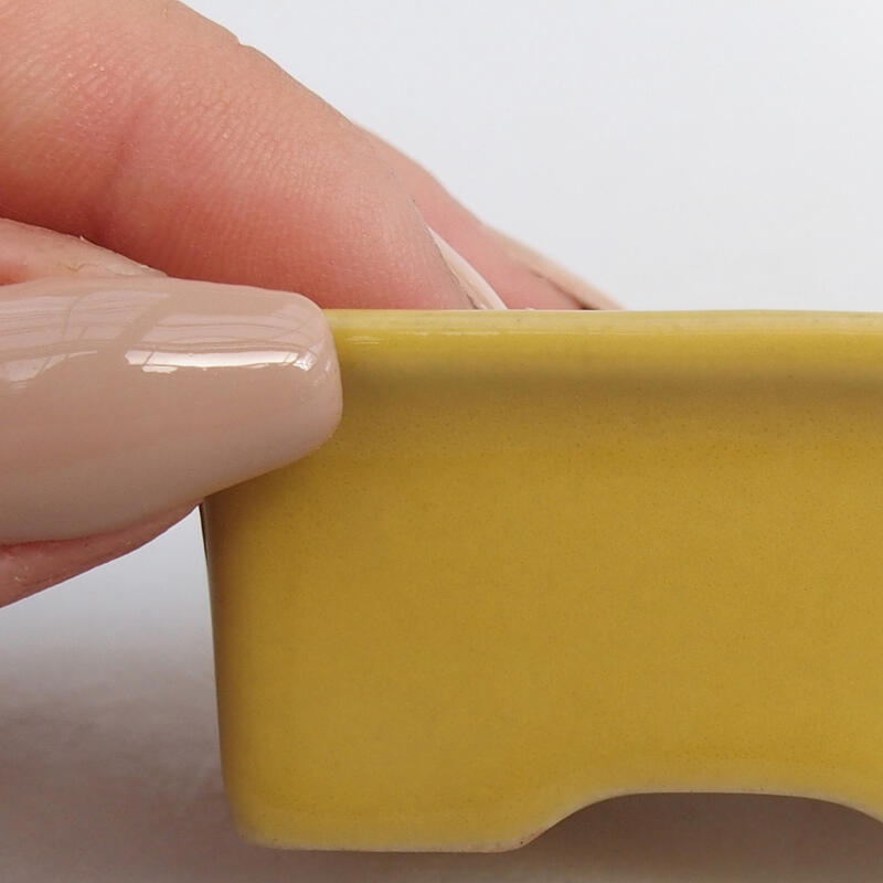 Mini bonsai 6 x 4,5 x 2,5 cm, giallo