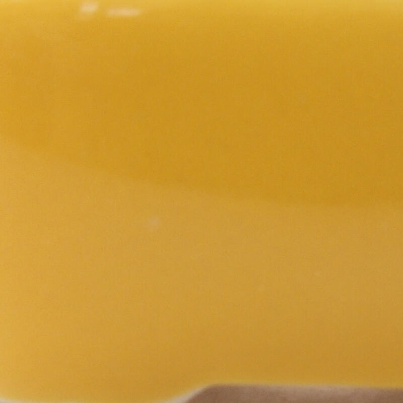 Mini bonsai 6 x 4,5 x 2,5 cm, giallo