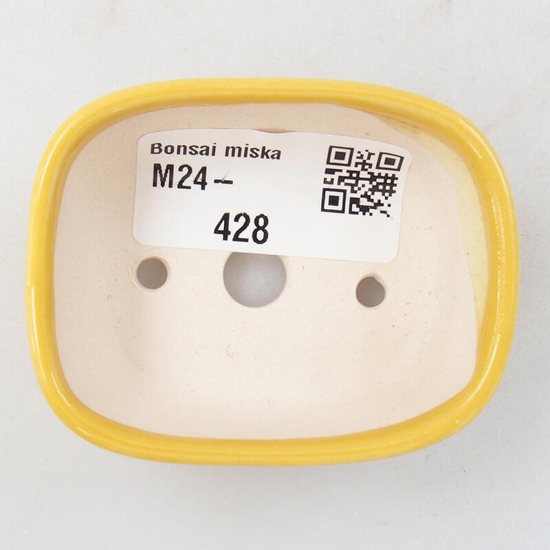 Mini bonsai 6 x 4,5 x 2,5 cm, giallo