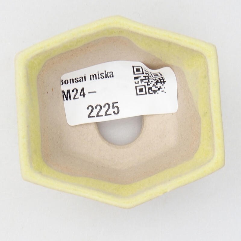 Mini bonsai 6 x 5,5 x 2 cm, giallo