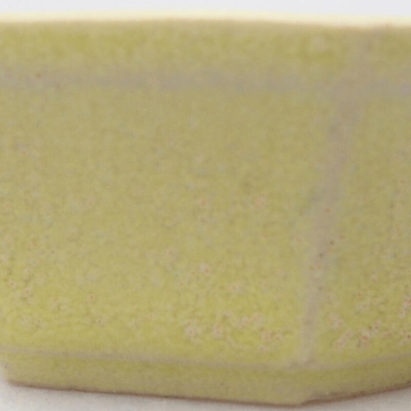 Mini bonsai 6 x 5,5 x 2 cm, giallo