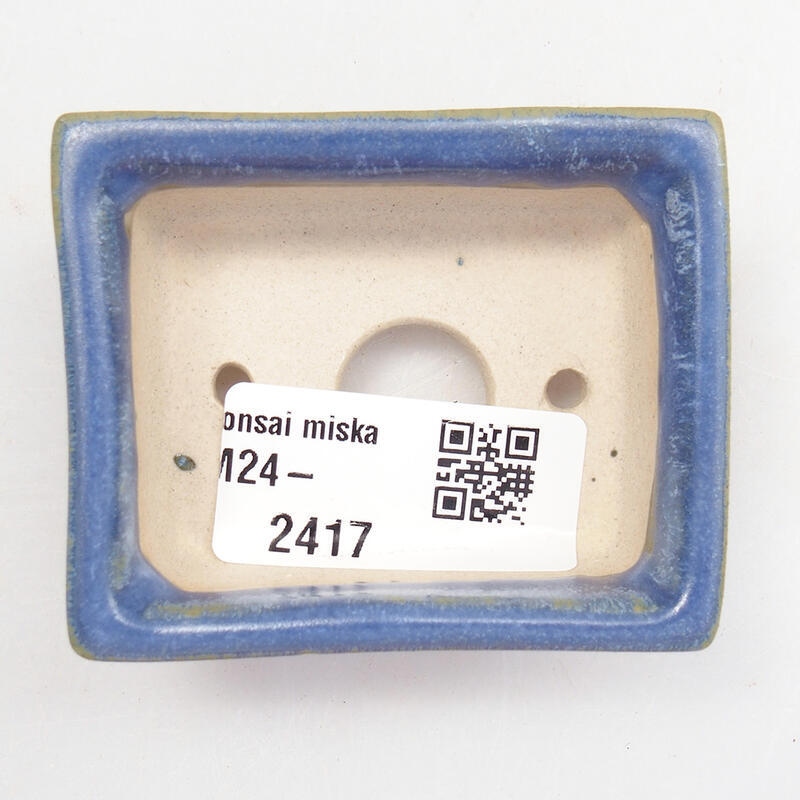 Mini bonsai 6 x 5 x 2,5 cm, colore blu