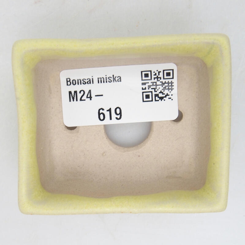 Mini bonsai 6 x 5 x 2,5 cm, verde