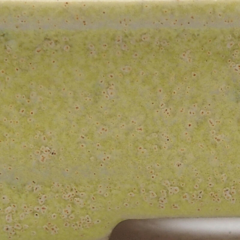 Mini bonsai 6 x 5 x 2,5 cm, verde