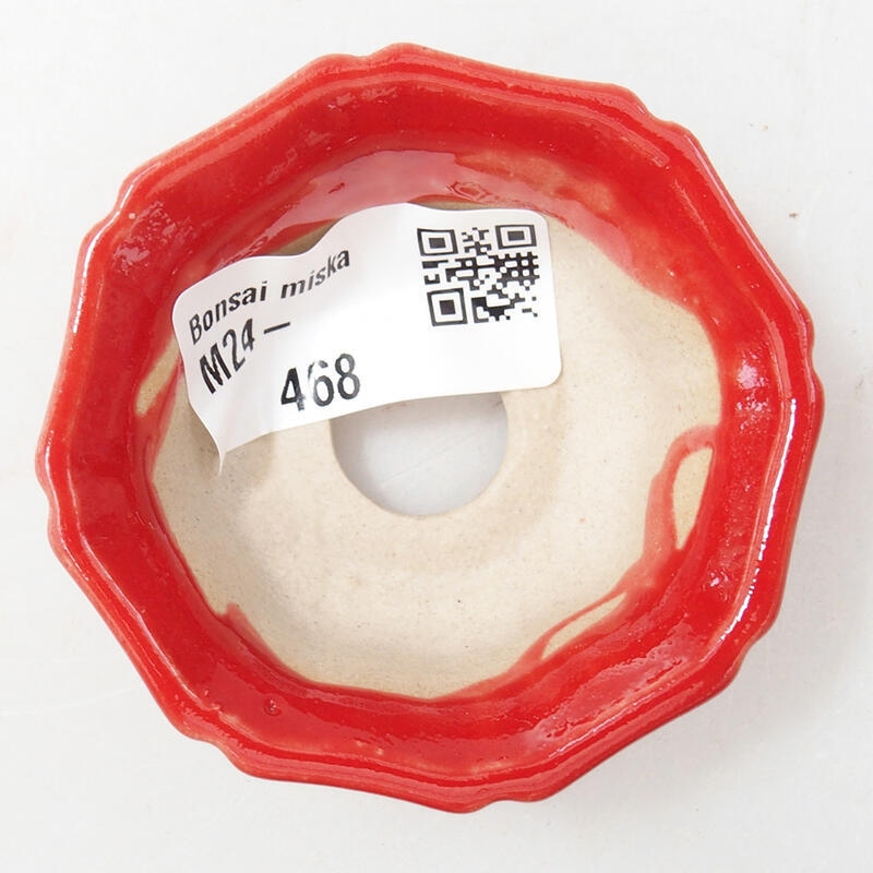 Mini bonsai 6 x 6 x 2,5 cm, colore rosso