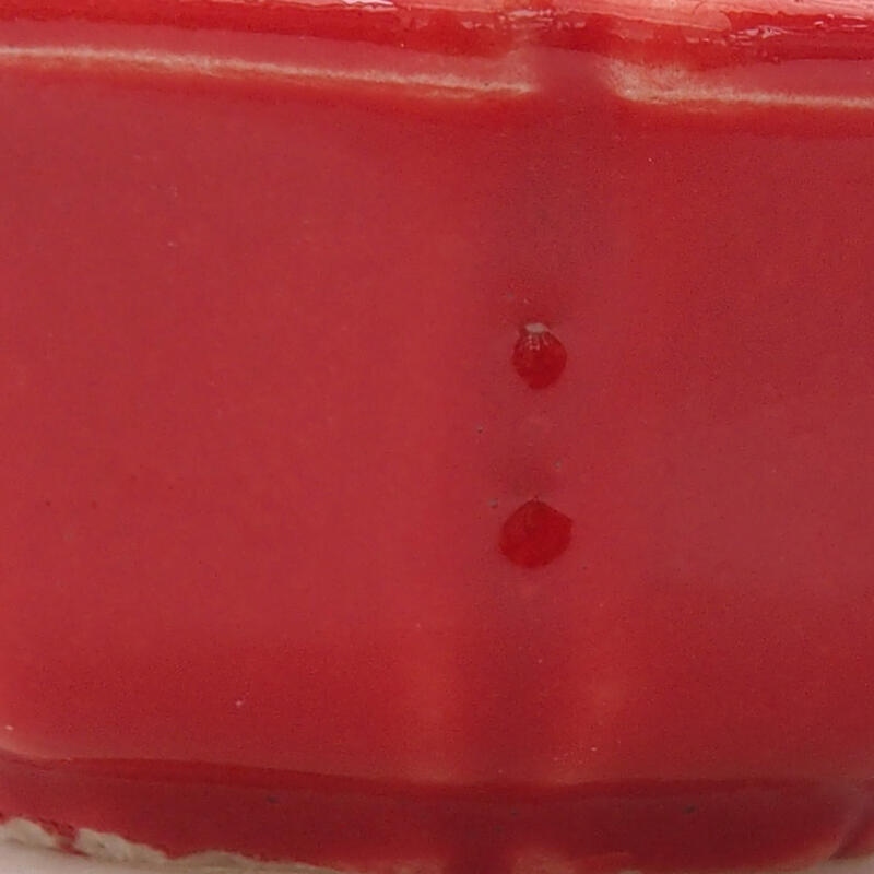 Mini bonsai 6 x 6 x 2,5 cm, colore rosso