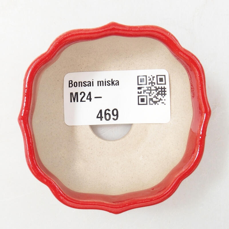 Mini bonsai 6 x 6 x 3 cm, colore rosso
