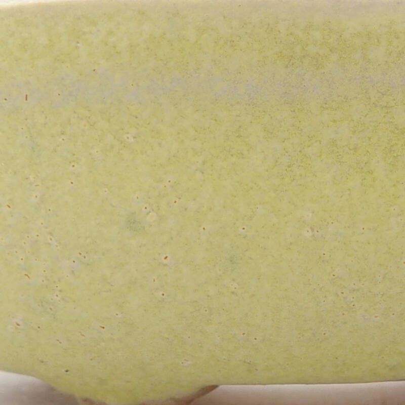 Mini bonsai 7 x 5 x 2 cm, giallo