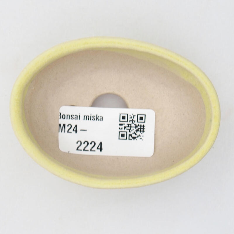 Mini bonsai 7 x 5 x 2 cm, giallo