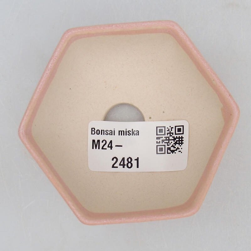 Ciotola per mini bonsai 7 x 6,5 x 3 cm, rosa