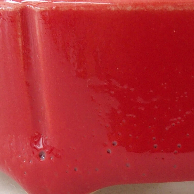 Mini bonsai 7 x 7 x 3 cm, colore rosso