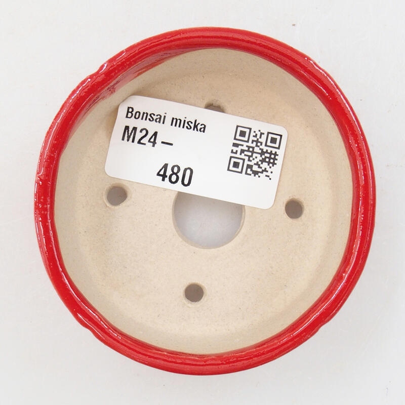 Mini bonsai 7 x 7 x 3 cm, colore rosso