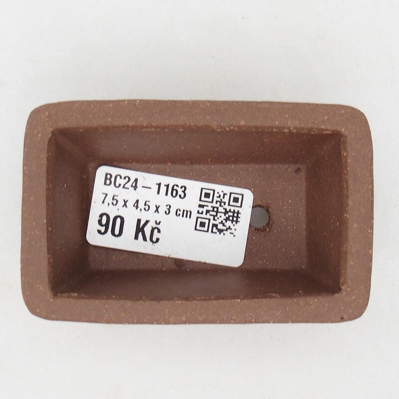 Mini bonsai 8,5 x 5,5 x 2,5 cm, marrone