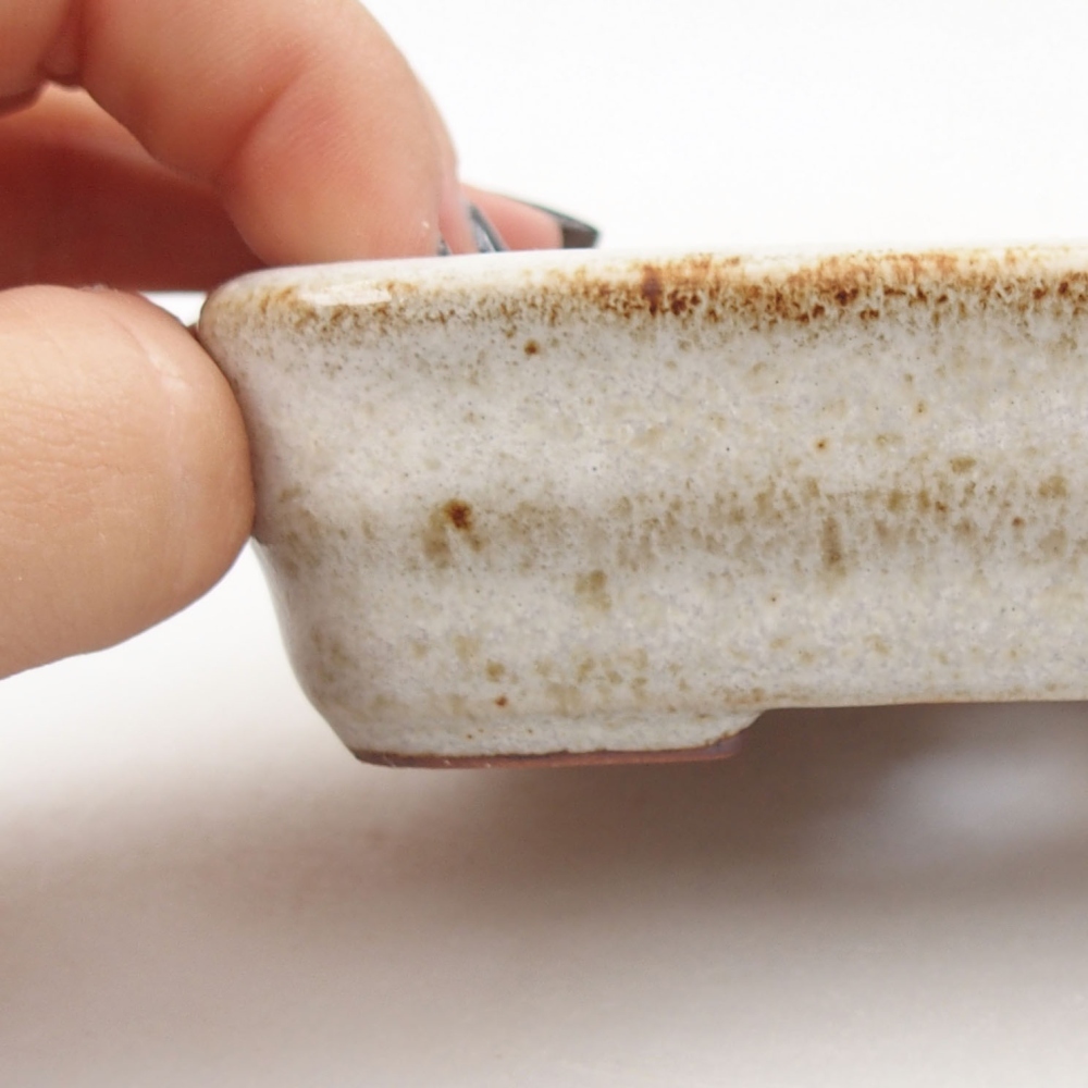 Ciotola bonsai in ceramica 22 x 17 x 5 cm, verde