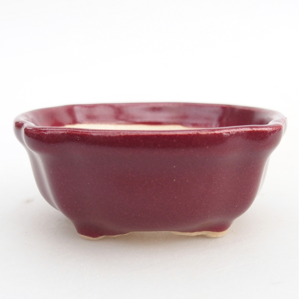 Ciotola per mini bonsai 6,5 x 6,5 x 3 cm, bordeaux