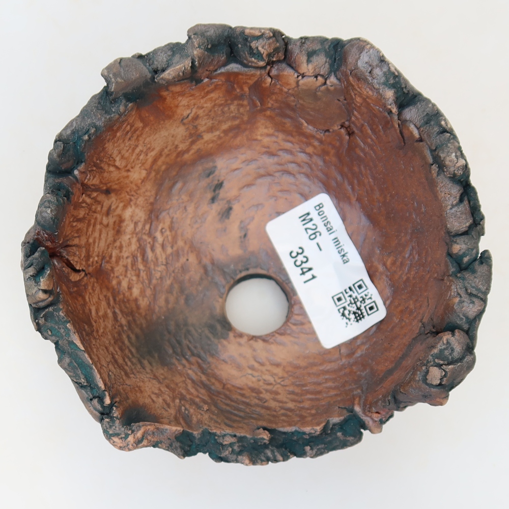 Guscio in ceramica  11 x 10,5 x 6,5 cm, colore verde