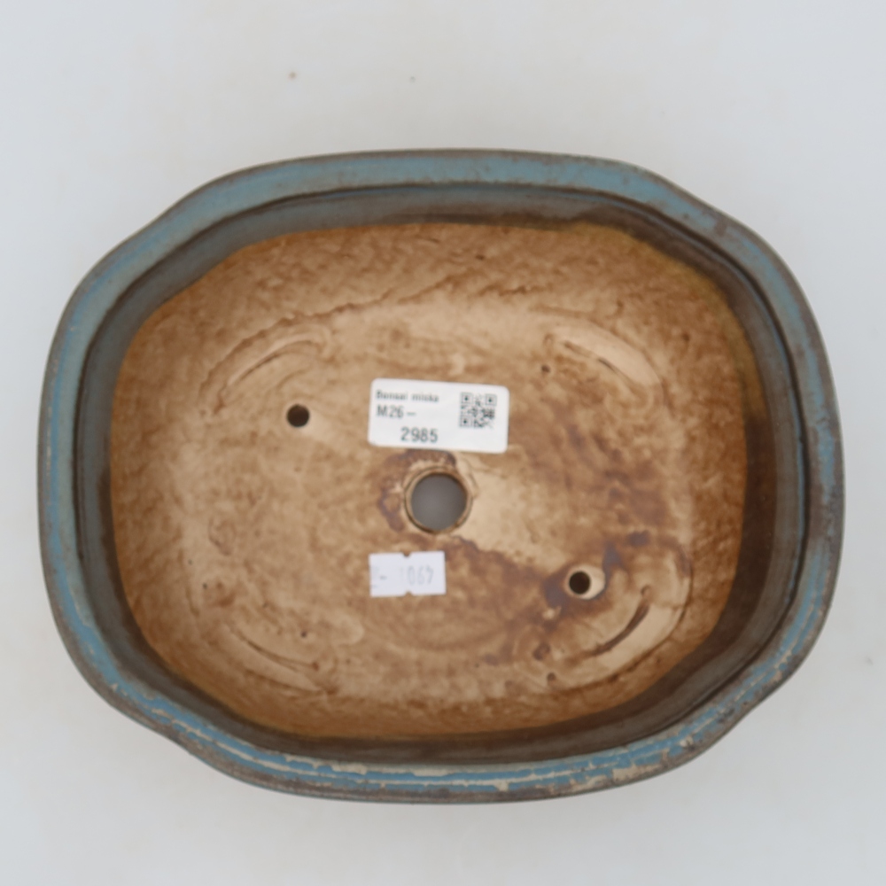 Vaso da bonsai in ceramica 20 x 16,5 x 7 cm, colore blu